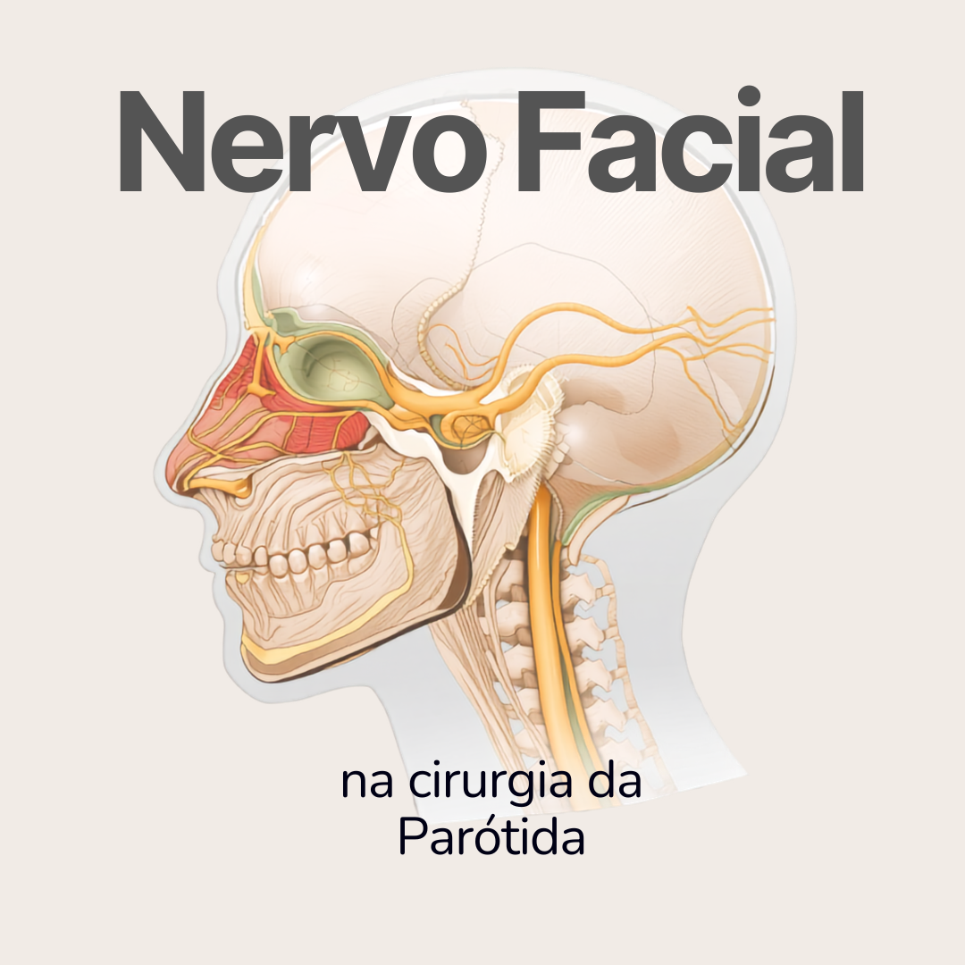 nervo facial cirurgia parótida